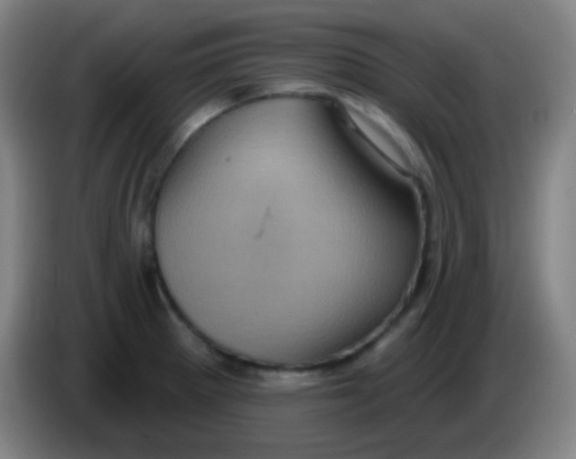 X0000085321281200703302036