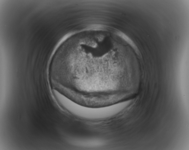 X0000085321283200703302036
