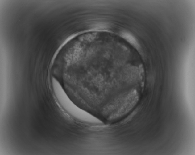 X0000085321284200703302036