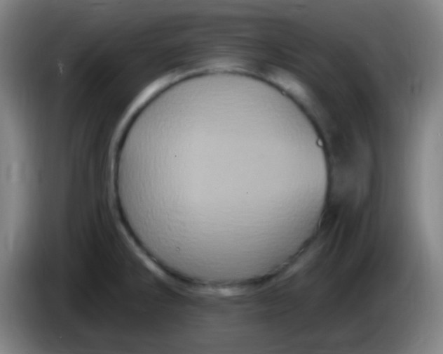 X0000085321286200703302036