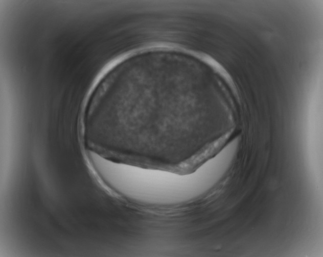 X0000085321287200703302036