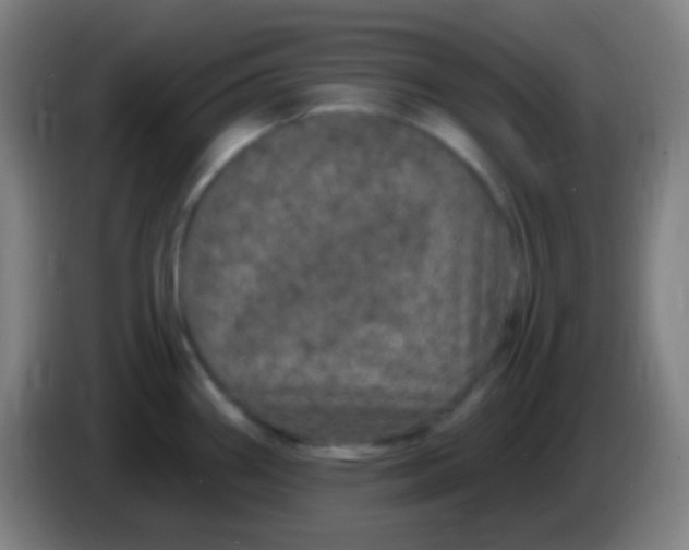 X0000085321290200703302036