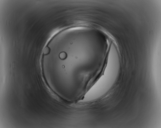 X0000085321291200703302036