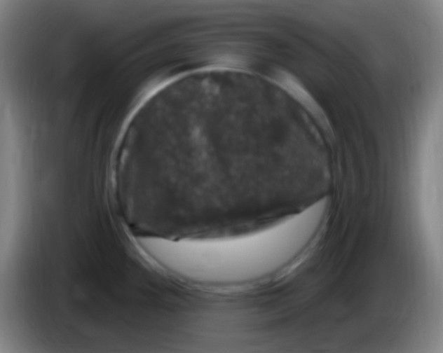 X0000085321292200703302036