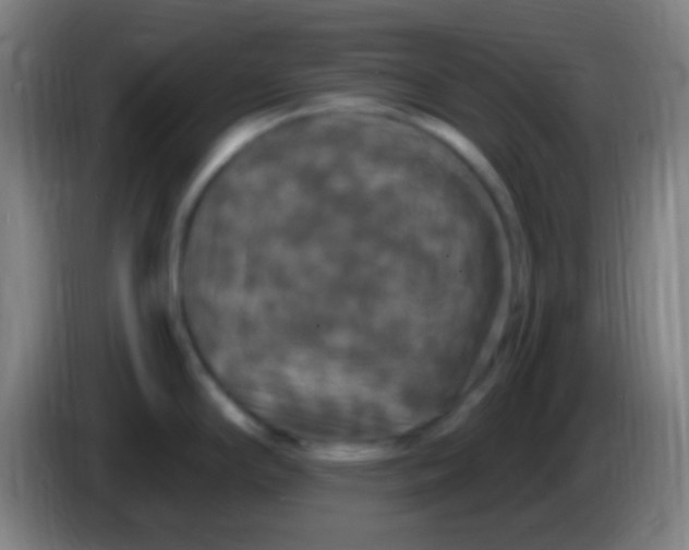 X0000085321294200703302036