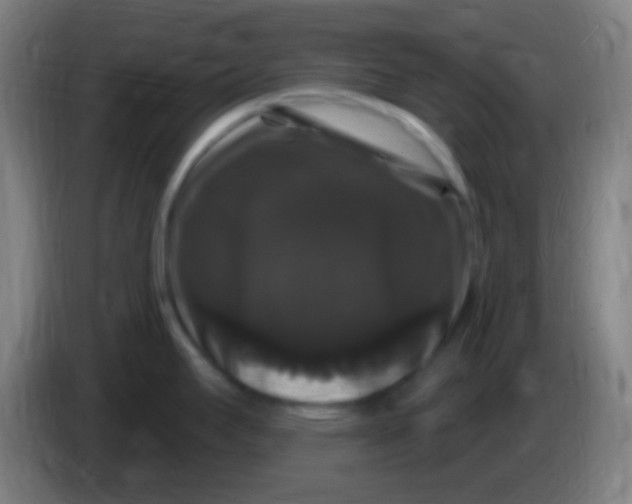X0000085321295200703302036