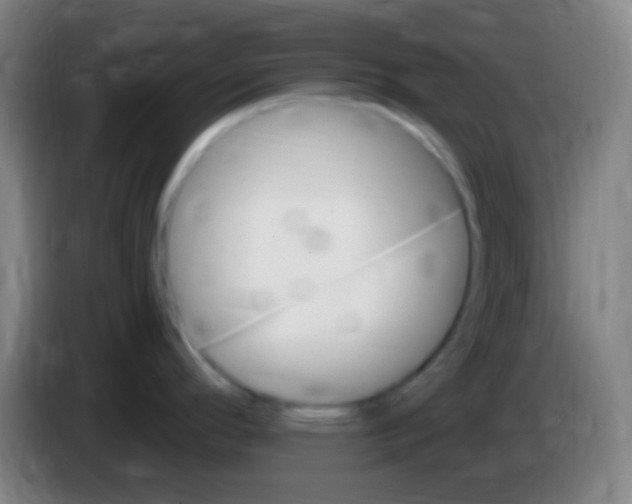 X0000085321296200703302036