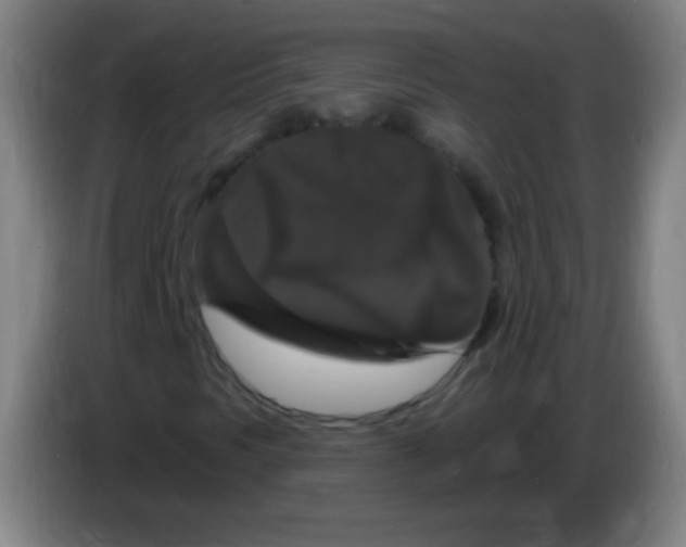 X0000085321297200703302035