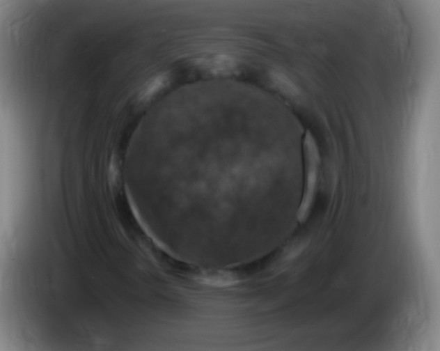 X0000085321298200703302035