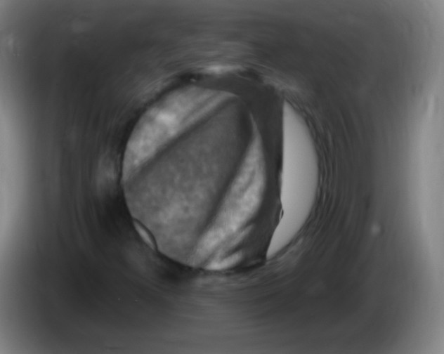X0000085321300200703302035