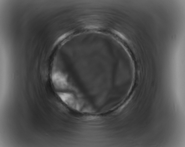 X0000085321306200703302035