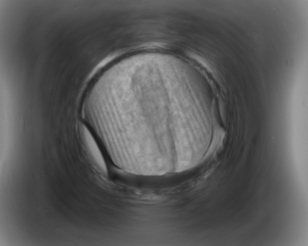X0000085321308200703302035