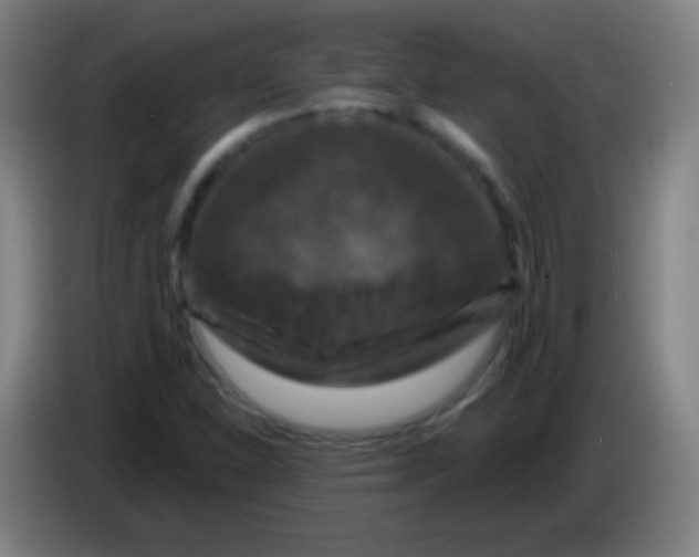 X0000085321310200703302035