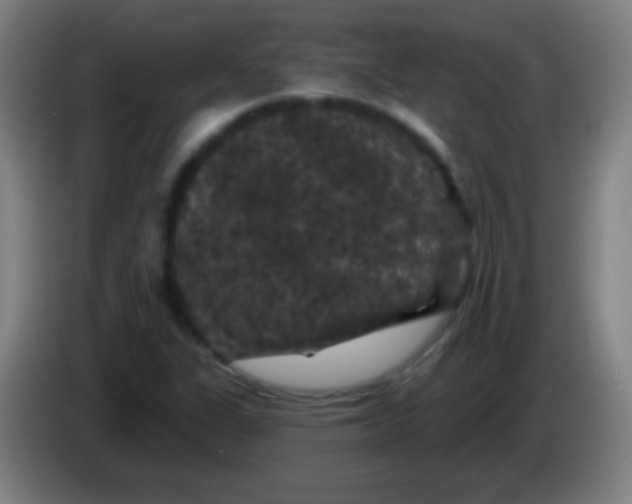 X0000085321311200703302035