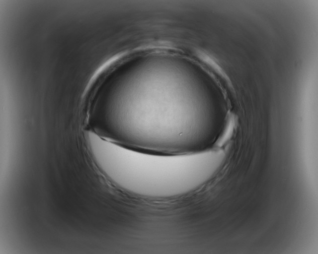 X0000085321312200703302035