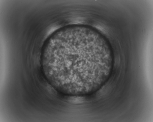 X0000085321314200703302035