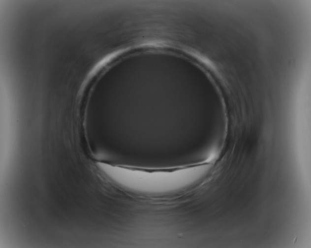 X0000085321319200703302036