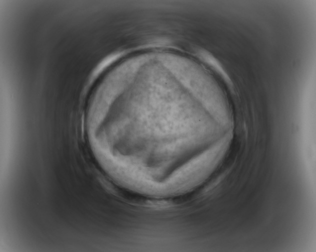 X0000085321320200703302036