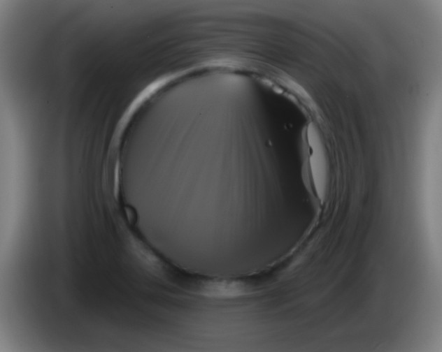 X0000085321323200703302036