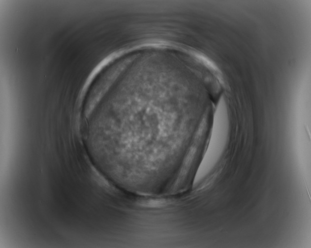 X0000085321326200703302036