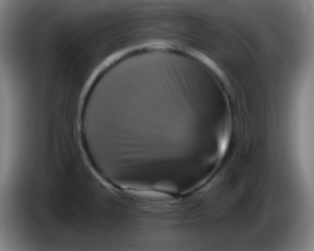 X0000085321327200703302036