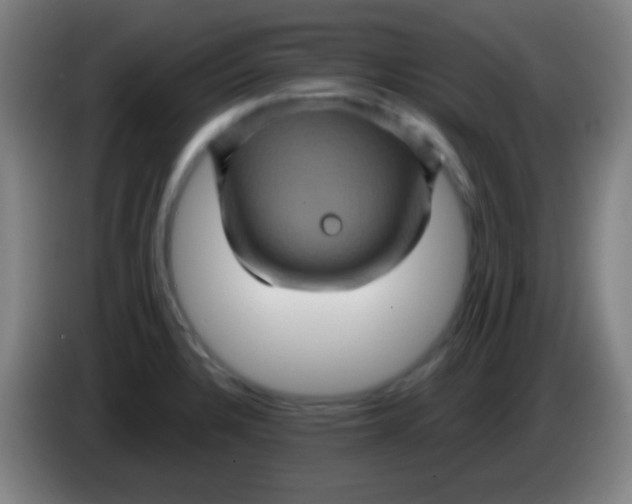 X0000085321328200703302036