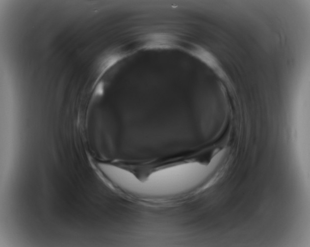 X0000085321337200703302036