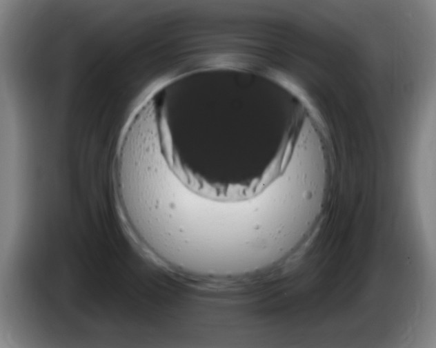 X0000085321338200703302036