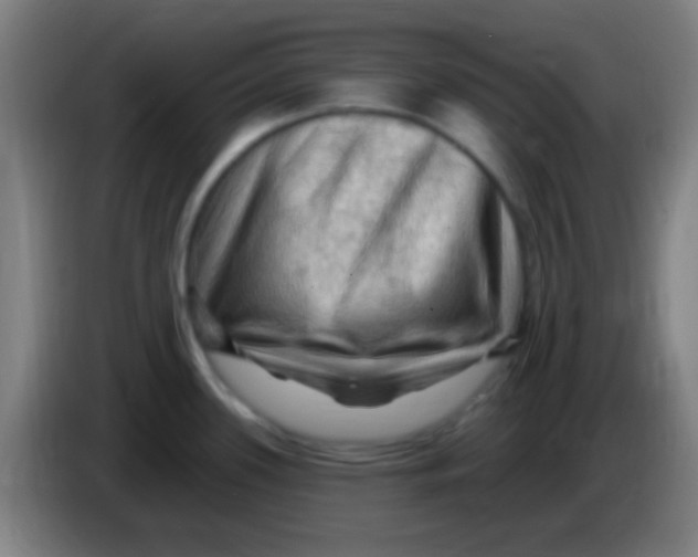 X0000085321339200703302036
