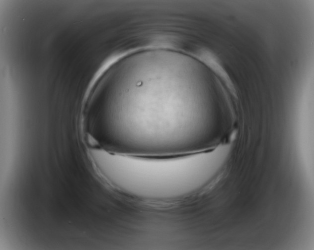 X0000085321340200703302036