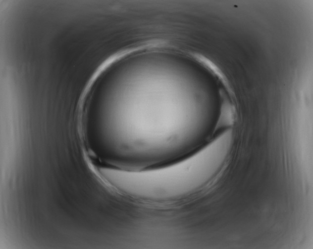 X0000085321342200703302036
