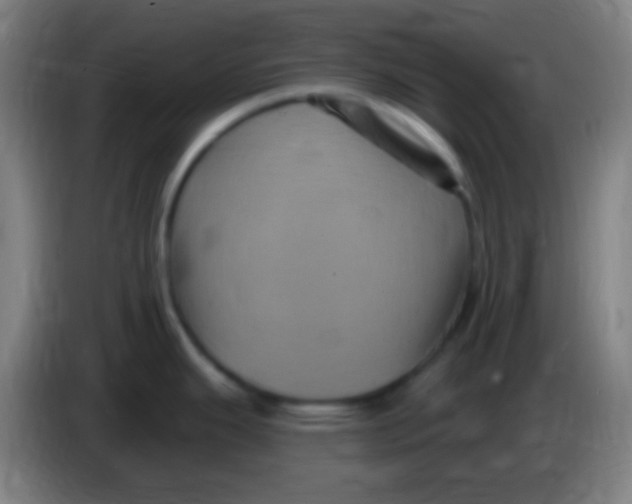 X0000085321343200703302036