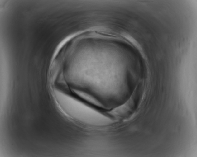 X0000085321344200703302036