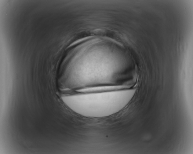 X0000085321345200703302035