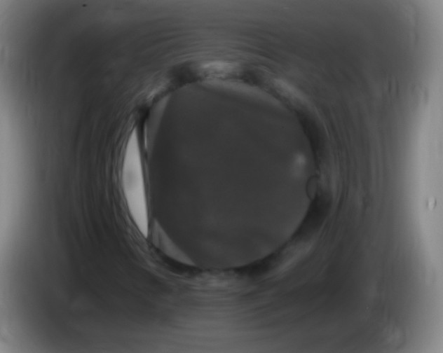 X0000085321346200703302035
