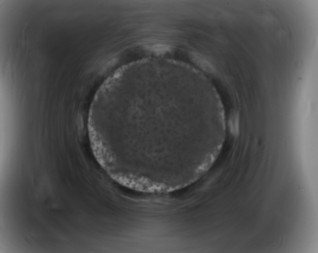 X0000085321347200703302035