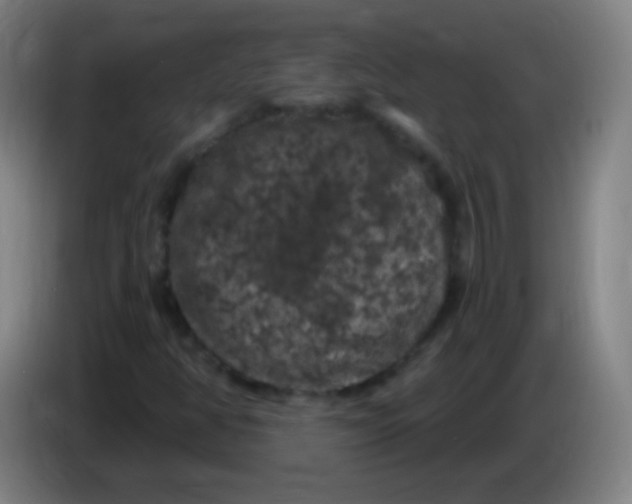 X0000085321350200703302035