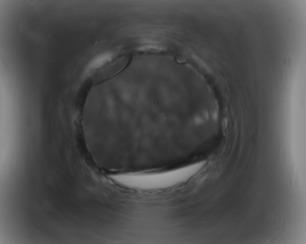 X0000085321351200703302035