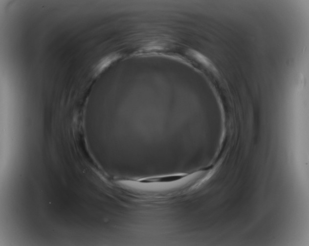 X0000085321353200703302035