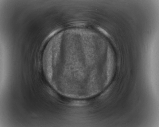 X0000085321354200703302035