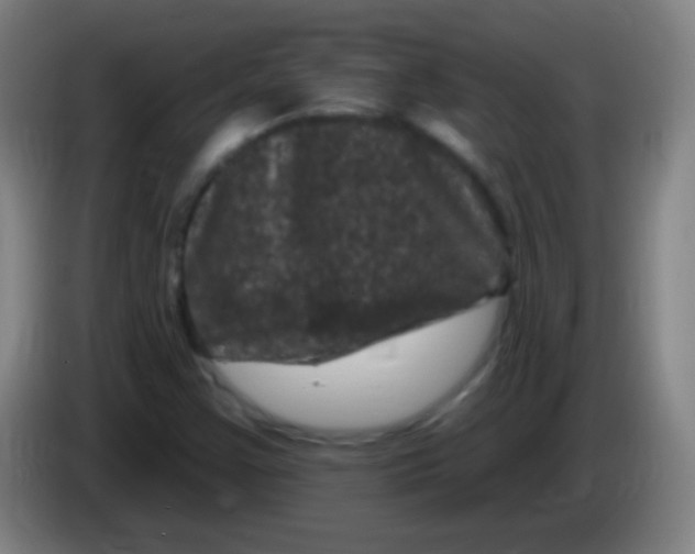 X0000085321355200703302035