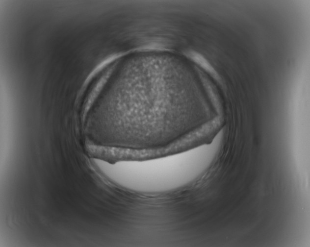 X0000085321356200703302035