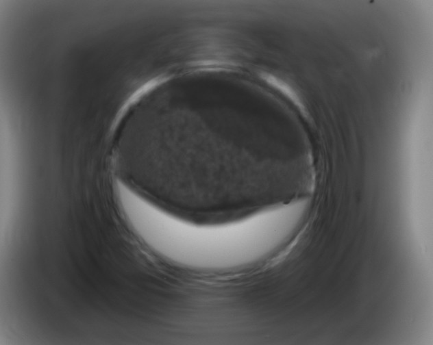 X0000085321357200703302035