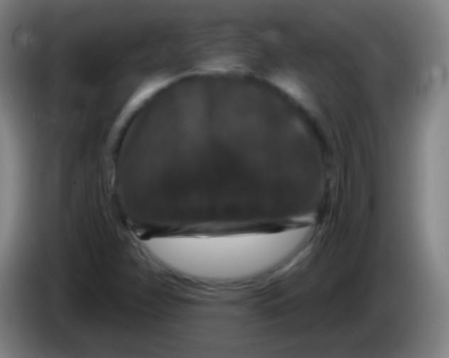 X0000085321358200703302035