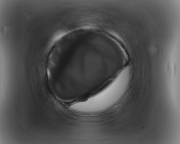 X0000085321359200703302035