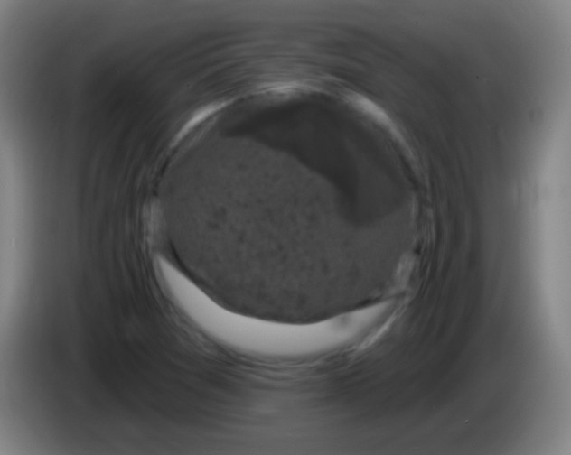 X0000085321361200703302035