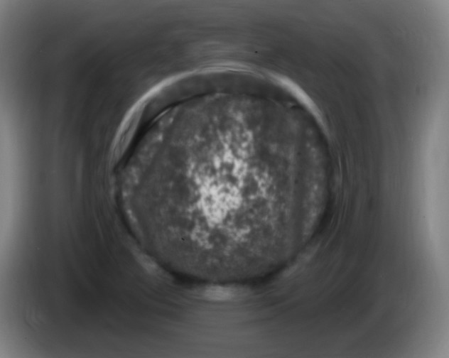 X0000085321364200703302035