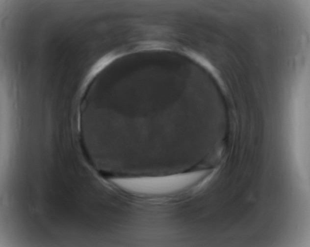 X0000085321365200703302035