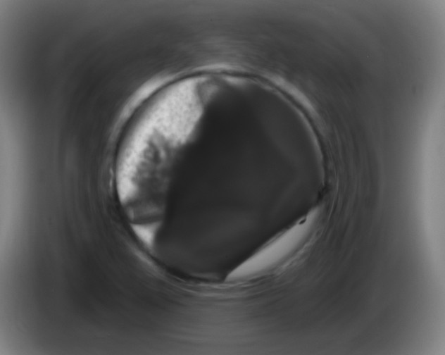X0000085321367200703302035