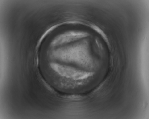 X0000085321368200703302035